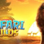 slot pg wild safari